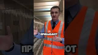Безбилетник прыгнул на пути. За секунду до... @PROMETRO #shorts #машинистметро #владимирконнов