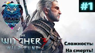 THE WITCHER 3 WILD HUNT Прохождение на Русском | ВЕДЬМАК 3 ДИКАЯ ОХОТА ПРОХОЖДЕНИЕ | СТРИМ #1