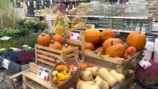 OBI and Castorama shop tour | Cozy autumn decoration | IKEA frozen food