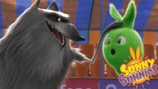 Cartoons For Children | Sunny Bunnies MEET GREY WOLF | Funny Cartoons For Children