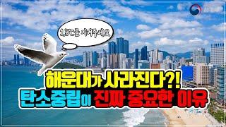 탄소중립이 진짜 중요한 이유!! 지구온난화로 해운대가 사라진다! ㅣ 환경부 X NEO지식창고