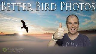 How to Take Photos of Birds - Bird Photography Tips and Tricks