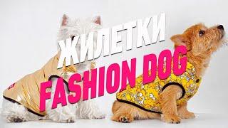 ОДЕЖДА ДЛЯ СОБАК / ЖИЛЕТКИ Fashion Dog / GROOM SCHOOL