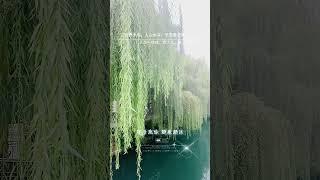 曾讓你感動的人￼