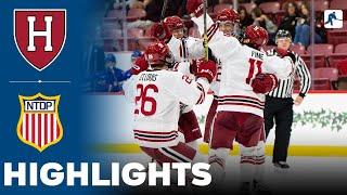 Harvard vs USA U18 | NCAA College Hockey | Highlights - October 18, 2024