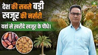 देश की सबसे बड़ी #khajur नर्सरी | खरीदें टॉप खजूर पौधे और जानें #varieties | Kisan Samvad TV #viral