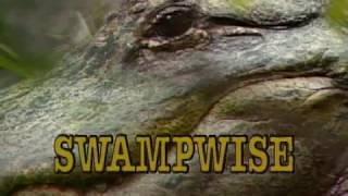 Swampwise | GPB Documentaries