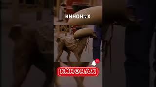 Чужой 3: тайна создания ксеноморфа