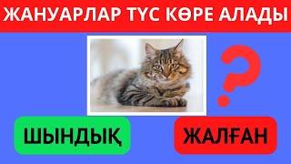 ТАБА АЛАСЫҢ БА? ШЫНДЫҚ НЕМЕСЕ ЖАЛҒАН ЕКЕНІН БІЛЕСІҢ БЕ? ҚЫЗЫҚТЫ СҰРАҚТАР БІЛІМ QUIZ 2024🟢