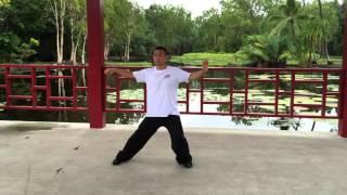 Chen Style Tai Chi Movement Demo 1