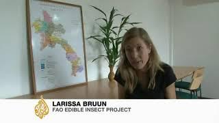 EDIBLE BUGS FOR LAO PEOPLE AND TOURISTS ?