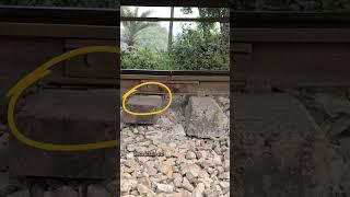 Line and sleeper jumps, weak and poor maintained railway track. #line #track #shorts