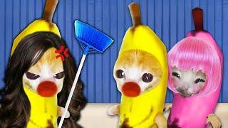 Banana Cat vs. Girlfriend's Strict Mom: Love Battle!  Baby Banana Cat Compilation | Cat MEME 