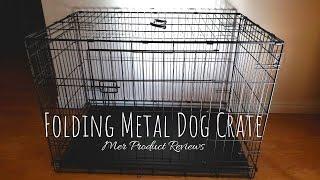 Amazon Basics Folding Metal Dog Crate Review and How to Keep a Clean Kennel