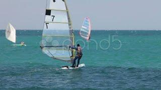 Windsurfer. Stock Footage