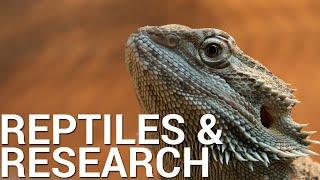 Evidence Based Reptile Care: Research and Reptiles Channel Trailer