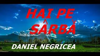 █▬█ █ ▀█▀  2024 - HAI PE SARBA - Daniel Negricea  [ Domn' Profesor Danciu]HAI PE SARBA  ]