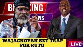 Wajackoyah Delivers Unsolicited Advice To Ruto |Stureh Punchline