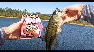 Candy Fishing Challenge (Loser has to eat soggy worm!)