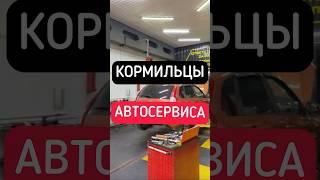 Какие машины приносят больше всего денег в автосервисе? #бизнесснуля #франшиза #франчайзинг