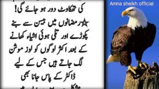 Sunehri haroof |Motivational quotes|Quotes About Life |Rumi Quotes/Ramzan tips| golden words by Amna