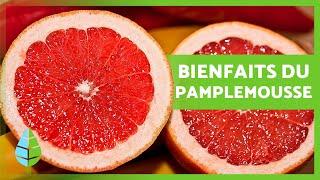 BIENFAITS du PAMPLEMOUSSE  | Propriétés du PAMPLEMOUSSE, Comment en manger et contre-indications