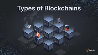 Types of Blockchains - Explained under 120 seconds  | Blockchain Development Company | #calibraint