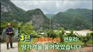 정선오지 연포리 땅가격을 동네주민한테 물어보았습니다