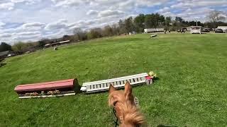 Making Waves & Tracey Woods | Horse Power Farm | May 2024 | Pre-Elementary & Elementary