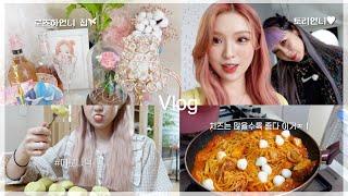 [vlog] 일상 브이로그ㅣ로즈하 언니집,메로나떡,로제 찜닭 파스타,롤러,미선임파서블