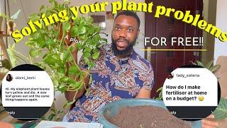 Solving your plant problems for free !! A chatty Q&A about your plants ! 🪴