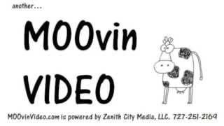 MOOvin Video will add a video message for your website. Video SEO. Search.