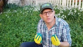 The Best Gardening Gloves you will own