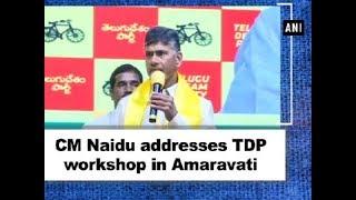 CM Naidu addresses TDP workshop in Amaravati - Andhra Pradesh News