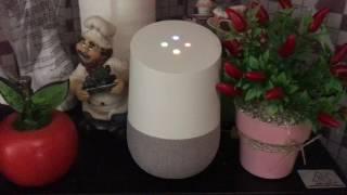 Mommy and her new friends @Kitchen - Google Home