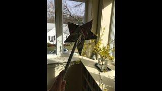 Quarantine request corner - Sally Gardens [Reel]