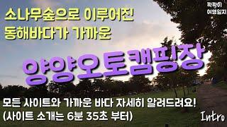 수많은 소나무숲, 넓은 잔디밭도 있고 동해바다도 가까운 양양오토캠핑장! (사이트 소개는 6분 35초부터)
