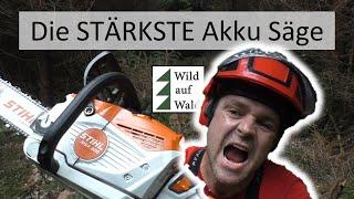 Mit Akku Motorsäge Bäume fällen - ist das möglich? #wildaufwald