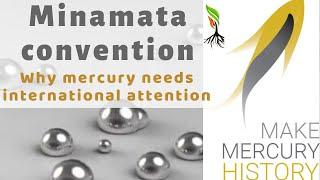 Minamata Convention - Making Mercury History