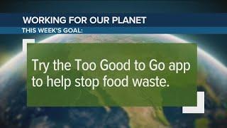 Try the 'Too Good To Go' app to help prevent food waste | Working for Our Planet