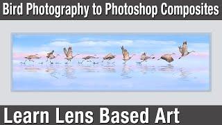 Lens Based Art - Learn from Bob Coates, an educator, professional photographer and digital artist.