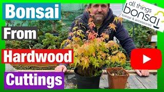 How To Take Hardwood Cuttings For Bonsai