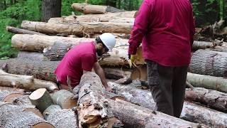 2017 Camp Sequassen Major Work Party