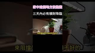 家中這個地方放點鹽，三天內必有橫財降臨！#風水 #奇門遁甲 #家居 #傳統文化 #紫微斗數