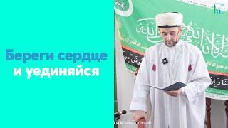 Береги сердце и уединяйся