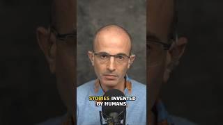 ‘Fairness’ VS Reality | Yuval Noah Harari & @adammgrant