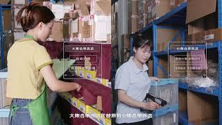 Jingdong Logistics Auto Rebin Wall/Parcels automatic sorting System in the apparel industry