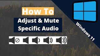 How to adjust & mute specific Sounds/Audio for programs and more (Windows 11)