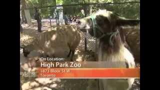 High Park Zoo - Daytime Toronto