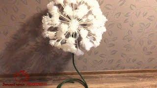 Огромный одуванчик | Ростовой одуванчик | giant dandelion